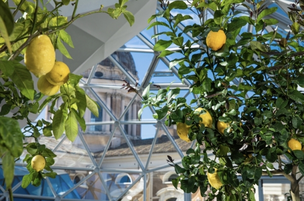 La Limonaia Urbana da Roma all’Europa 