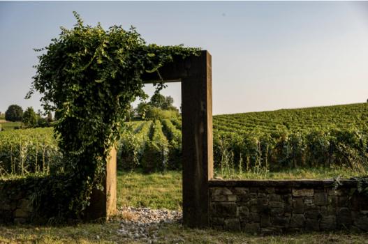 Treccani celebra un viaggio in Franciacorta 